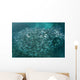 Large School Scad Solomon Wall Decal Design 3