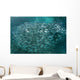 Large School Scad Solomon Wall Decal Design 3