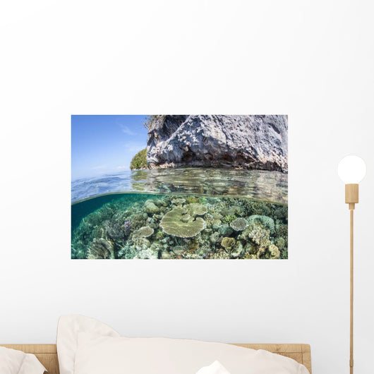 Healthy Coral Reef Grows Wall Decal Design 8