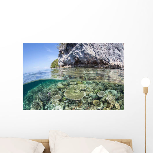 Healthy Coral Reef Grows Wall Decal Design 8