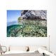 Healthy Coral Reef Grows Wall Decal Design 8
