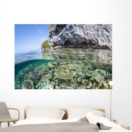 Healthy Coral Reef Grows Wall Decal Design 8
