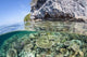 Healthy Coral Reef Grows Wall Decal Design 8
