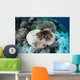 Crown-of-thorns Starfish Feeds Table Wall Decal