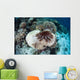 Crown-of-thorns Starfish Feeds Table Wall Decal