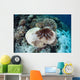 Crown-of-thorns Starfish Feeds Table Wall Decal