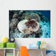 Crown-of-thorns Starfish Feeds Table Wall Decal
