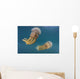 Golden Jellyfish Raja Ampat Wall Decal Design 3