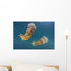 Golden Jellyfish Raja Ampat Wall Decal Design 3