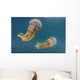 Golden Jellyfish Raja Ampat Wall Decal Design 3