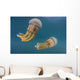 Golden Jellyfish Raja Ampat Wall Decal Design 3