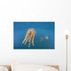 Golden Jellyfish Raja Ampat Wall Decal Design 2