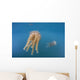 Golden Jellyfish Raja Ampat Wall Decal Design 2