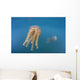 Golden Jellyfish Raja Ampat Wall Decal Design 2