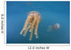 Golden Jellyfish Raja Ampat Wall Decal Design 2