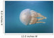 Golden Jellyfish Raja Ampat Wall Decal Design 1