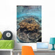 Snorkeler Explores Shallow Lagoon Wall Decal Design 2