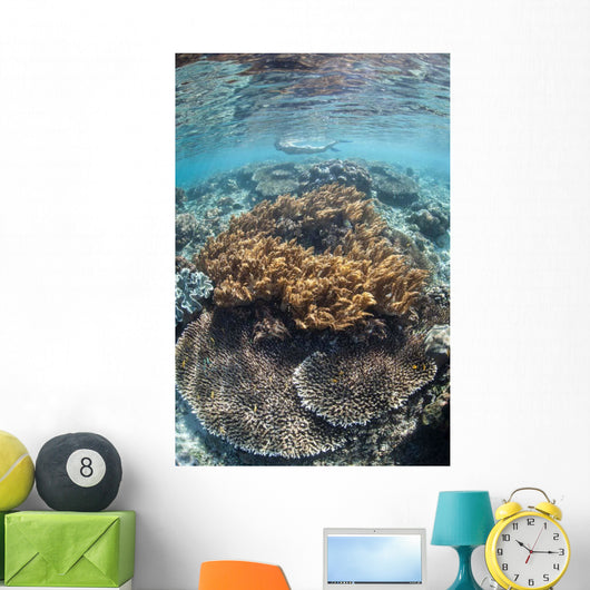 Snorkeler Explores Shallow Lagoon Wall Decal Design 2