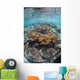 Snorkeler Explores Shallow Lagoon Wall Decal Design 2