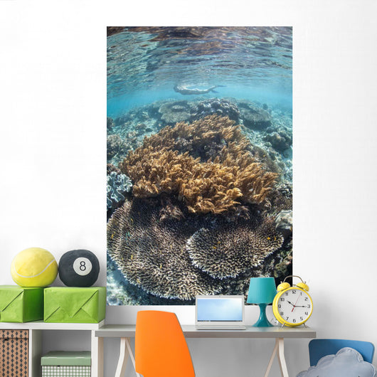 Snorkeler Explores Shallow Lagoon Wall Decal Design 2