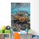 Snorkeler Explores Shallow Lagoon Wall Decal Design 2