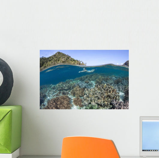 Snorkeler Explores Shallow Lagoon Wall Decal Design 1