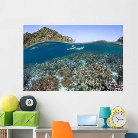 Snorkeler Explores Shallow Lagoon Wall Decal Design 1