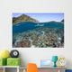 Snorkeler Explores Shallow Lagoon Wall Decal Design 1