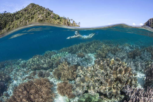 Snorkeler Explores Shallow Lagoon Wall Decal Design 1