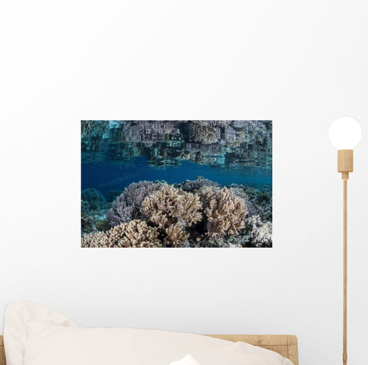 Healthy Coral Reef Grows Wall Decal Design 7