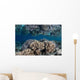Healthy Coral Reef Grows Wall Decal Design 7