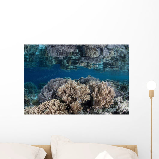 Healthy Coral Reef Grows Wall Decal Design 7