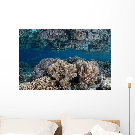 Healthy Coral Reef Grows Wall Decal Design 7