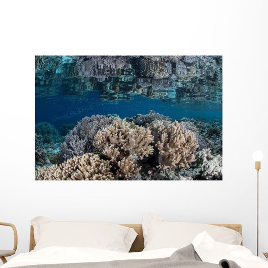 Healthy Coral Reef Grows Wall Decal Design 7