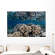 Healthy Coral Reef Grows Wall Decal Design 7
