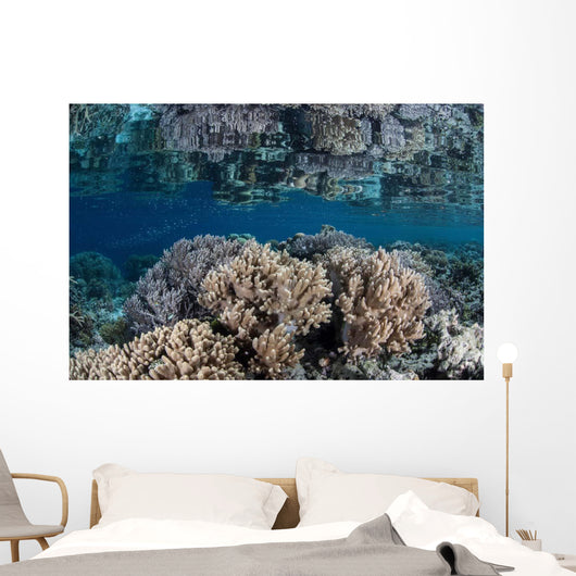 Healthy Coral Reef Grows Wall Decal Design 7