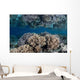 Healthy Coral Reef Grows Wall Decal Design 7