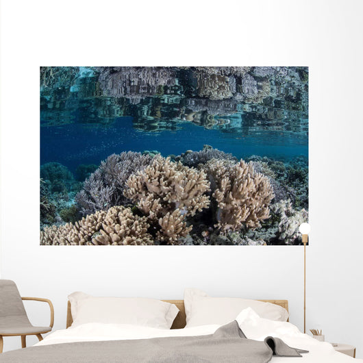 Healthy Coral Reef Grows Wall Decal Design 7