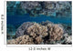 Healthy Coral Reef Grows Wall Decal Design 7