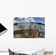 Healthy Coral Reef Grows Wall Decal Design 6