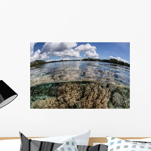 Healthy Coral Reef Grows Wall Decal Design 6