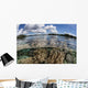 Healthy Coral Reef Grows Wall Decal Design 6