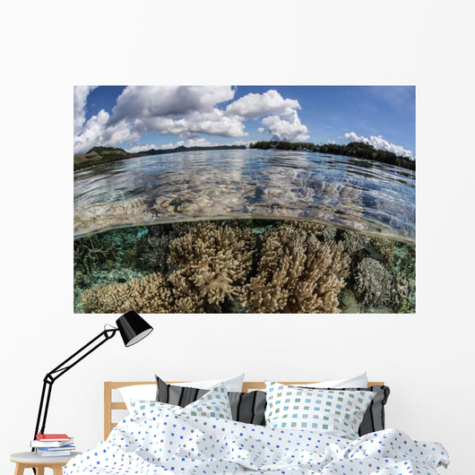 Healthy Coral Reef Grows Wall Decal Design 6