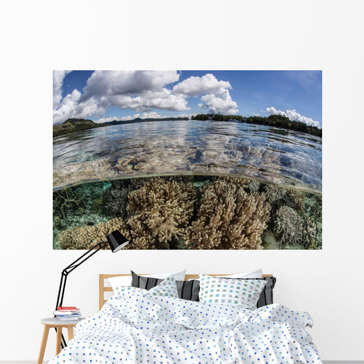 Healthy Coral Reef Grows Wall Decal Design 6