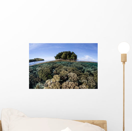Healthy Coral Reef Grows Wall Decal Design 5