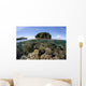 Healthy Coral Reef Grows Wall Decal Design 5