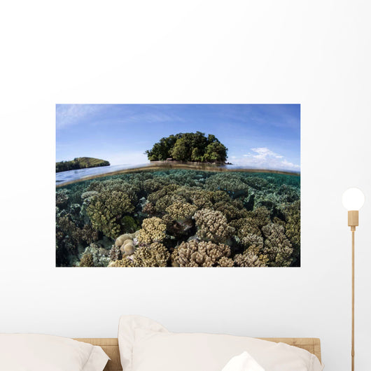 Healthy Coral Reef Grows Wall Decal Design 5