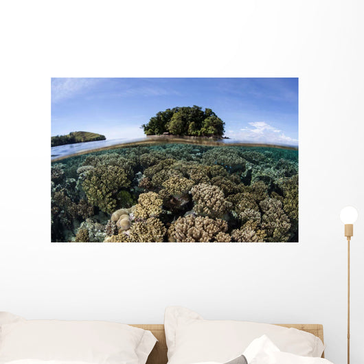 Healthy Coral Reef Grows Wall Decal Design 5