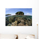 Healthy Coral Reef Grows Wall Decal Design 5