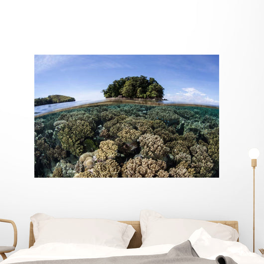 Healthy Coral Reef Grows Wall Decal Design 5